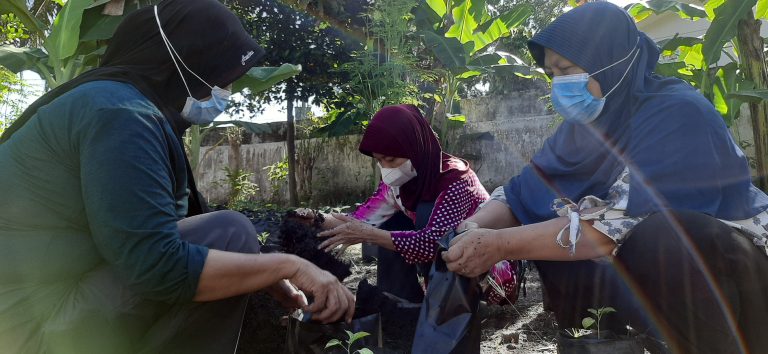 (Dari kiri ke kanan) Masriah, Rian Hadiyati, dan Haula, anggota kelompok belajar urban farming yang dilatih oleh Proyek ACTION di Desa Selong sedang mencampur tanah dan pupuk sebagai bagian dari persiapan pembibitan.