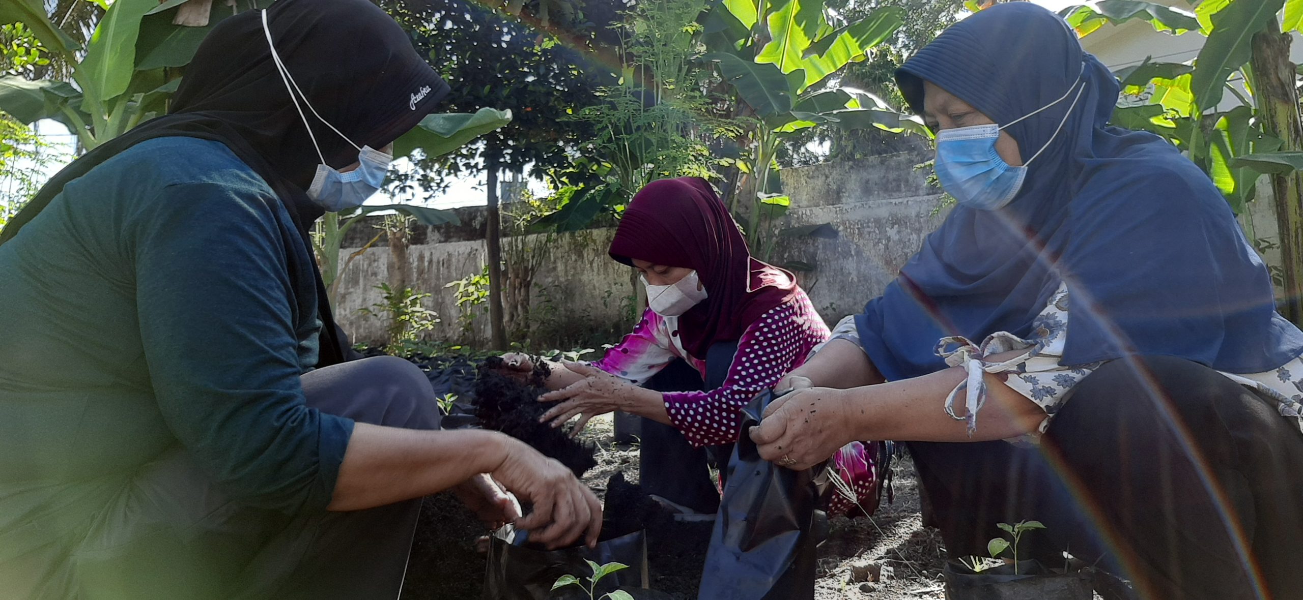 (Dari kiri ke kanan) Masriah, Rian Hadiyati, dan Haula, anggota kelompok belajar urban farming yang dilatih oleh Proyek ACTION di Desa Selong sedang mencampur tanah dan pupuk sebagai bagian dari persiapan pembibitan.